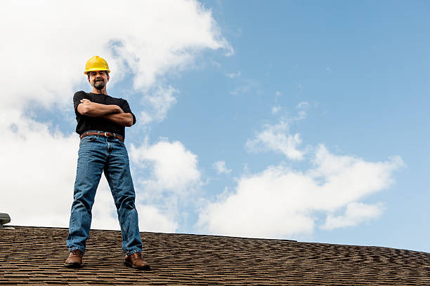 Best Roof Gutter Cleaning  in Moville, IA